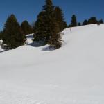 Lisa e Michele in Val di Fiemme